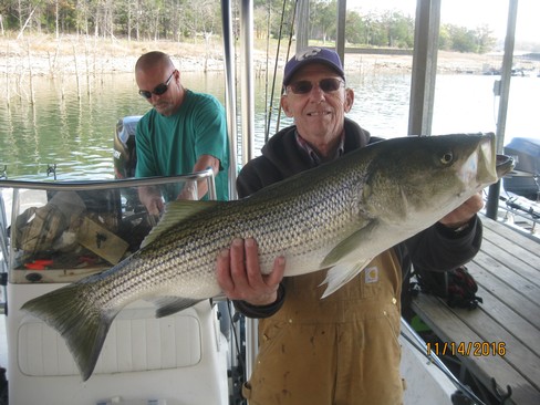 Nice Striped Bass